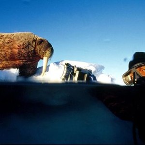 Adam Ravetch - Rotten Tomatoes