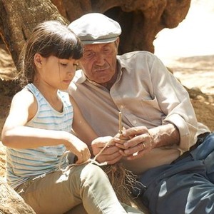 The Olive Tree (2016) photo 1