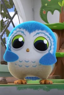 arlo owl