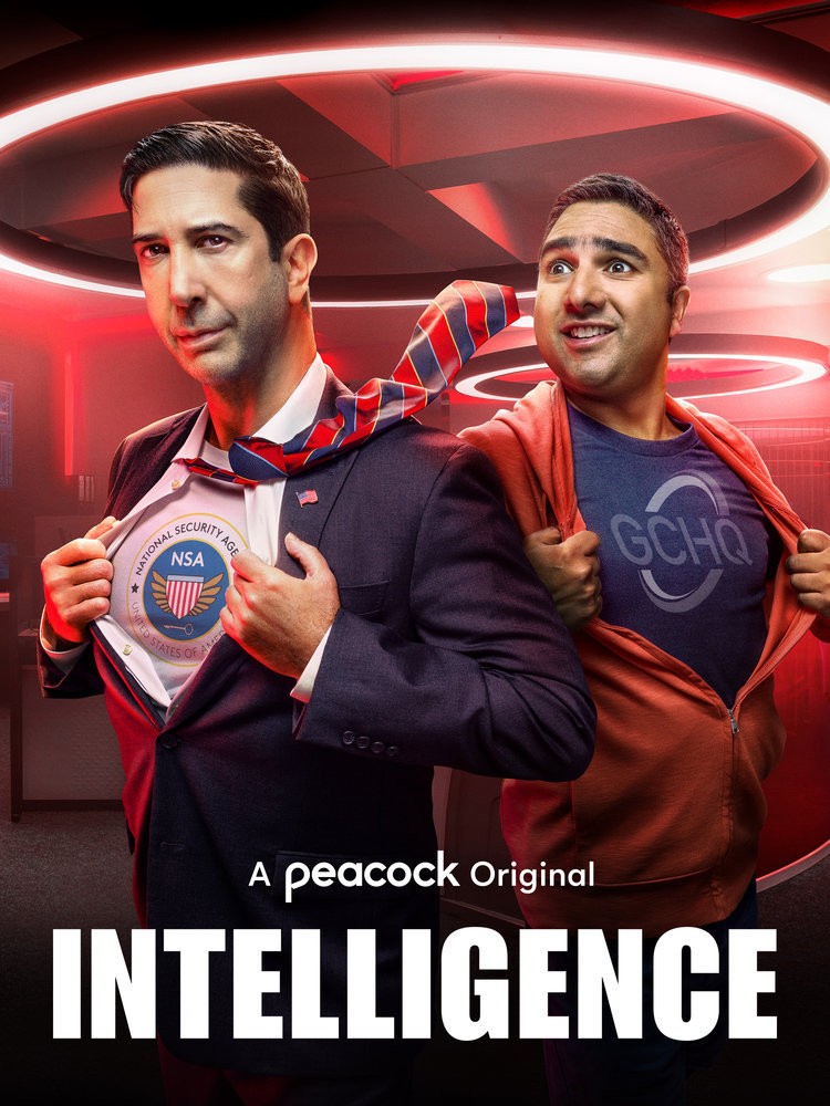 Intelligence: Season 2 (4pc) (Ws) [DVD] [Import]