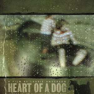 Heart of a Dog (2015) photo 6