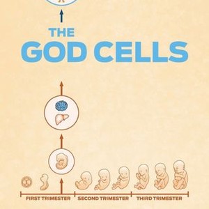The God Cells photo 7