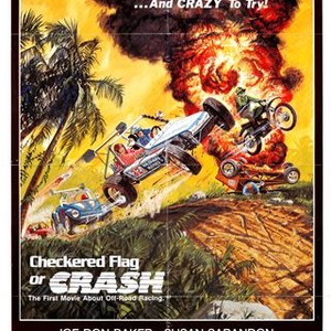 Checkered Flag or Crash (1977)