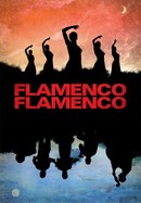 Flamenco, Flamenco poster image