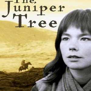 The Juniper Tree photo 15