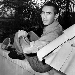 SUDDENLY IT'S SPRING, Macdonald Carey, 1947