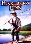 Huckleberry Finn poster image