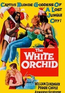 The White Orchid poster image