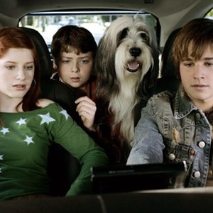 The Shaggy Dog - Rotten Tomatoes