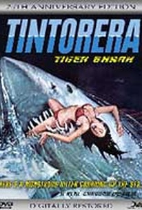 Tintorera - Tiger Shark
