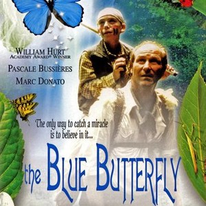 The Blue Butterfly photo 6