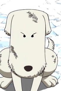 One Piece Season 1 Episode 6 Rotten Tomatoes One Piece Season 1 Episode 6 Rotten Tomatoes