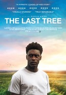 The Last Tree poster image
