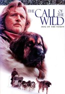 The Call of the Wild: Dog of the Yukon poster image