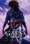 Garo: Divine Flame poster image