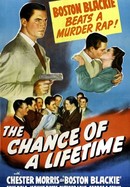 The Chance of a Lifetime poster image