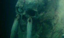 Tusk - Trailers & Videos | Rotten Tomatoes