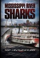 Mississippi River Sharks poster image