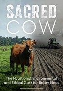 Sacred Cow poster image