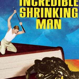 The Incredible Shrinking Man (1957) photo 10