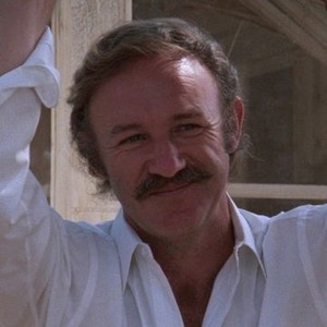 Night Moves (1975)