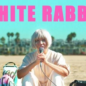 "White Rabbit photo 12"