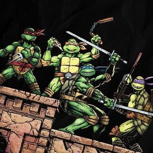 Turtle Power: The Definitive History of the Teenage Mutant Ninja Turtles photo 12