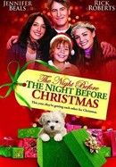 The Night Before the Night Before Christmas poster image