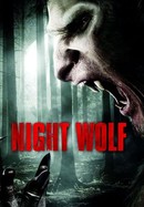 Night Wolf poster image