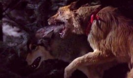 Look Who's Talking Now: Official Clip - Dog vs. Wolf photo 1
