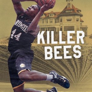 Killer Bees photo 2