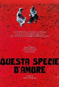 Questa specie d'amore | Rotten Tomatoes