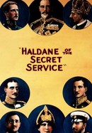 Haldane of the Secret Service poster image