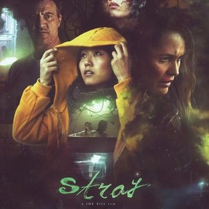 Stray - Rotten Tomatoes