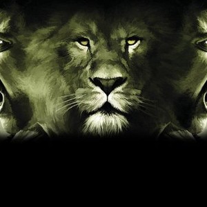 Singam 2 Pictures - Rotten Tomatoes Singam 2 Pictures - Rotten Tomatoes