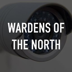 Stark Varg MX 80HP - Bicycles - Charlotte, North Carolina - Facebook