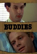 Buddies poster image