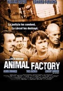 Animal Factory poster image