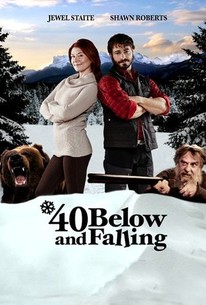 Poster for 40 Below and Falling
