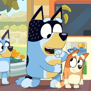 Bluey: Season 2, Episode 8 - Rotten Tomatoes