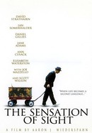 The Sensation of Sight poster image
