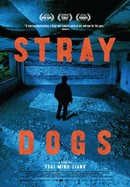 Stray Dogs poster image