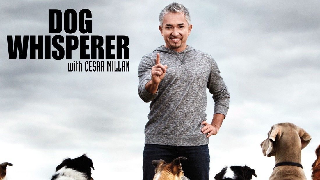 Dog whisperer season 1 sales