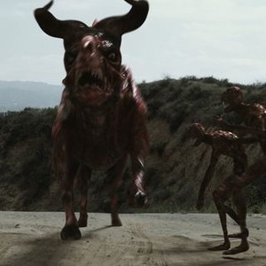 Day Of Reckoning Rotten Tomatoes