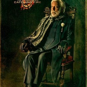 The Hunger Games: Catching Fire photo 20