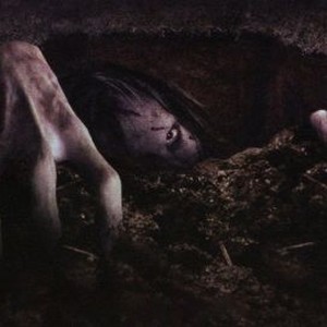 The Gravedancers photo 15