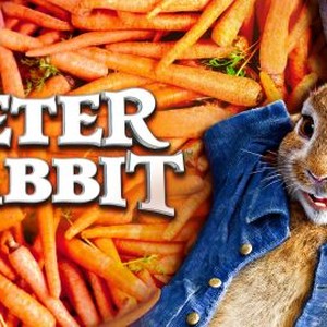 Peter Rabbit photo 4