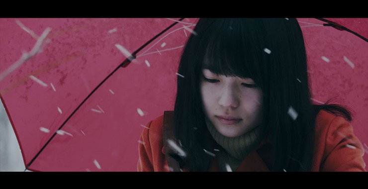 Liverleaf Misumisou 18 Rotten Tomatoes