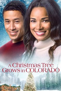 Watch trailer for A Christmas Tree Grows in Colorado