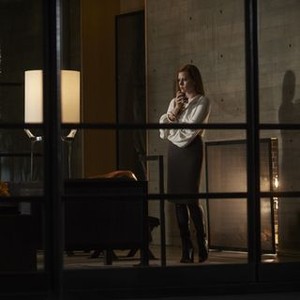 Nocturnal Animals (2016) - Rotten Tomatoes